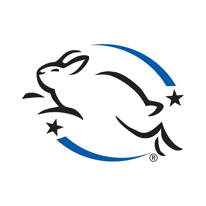 Wrinkle Serum with Bakuchiol, Hyaluronic Acid and Retinyl Palmitate - Daily Anti-Aging Essence for Fine Lines & Plump Skin, 1 Fl Oz