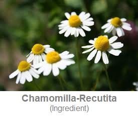 Ultra Sensitive Mask