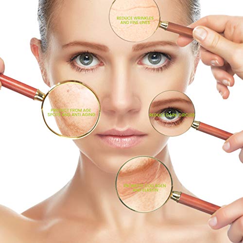 H Vitamin E Oil - Anti Aging, Reduce Wrinkles and Fine Lines for Moisturized & Youthful Skin - Pure & Natural Vitamin E Serum for Face, Hair, Nails (1 oz)