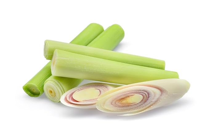 HAIRMETTO Organic Facial Oil Blend, Rosehip, Jojoba, Argan & Evening Primrose, Hydrating & Anti-Aging, Lightweight Non-Greasy Oil for Dry Skin, 30 mL