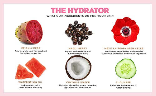 The Hydrator with Prickly Pear+, Day Cream + Night Cream + Overnight Mask, Travel Size, 0.5 oz