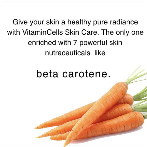 Ecco Bella Plant Based Rebuilder Night Cream - All Natural Anti-Aging Moisturizer for Face with Hyaluronic Acid, Vitamin C & Vitamin E - 2oz