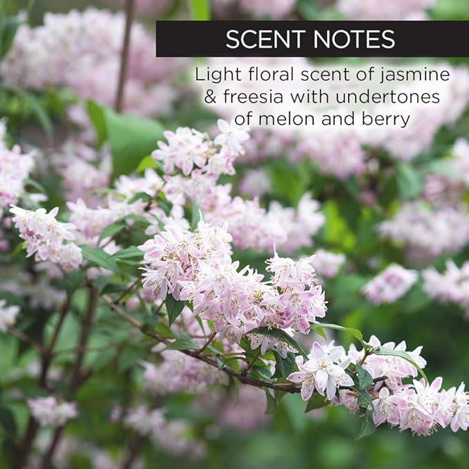 Whish Face Oil with Bakuchiol - Body & Face Moisturizer for Women & Men - Natural Retinol Alternative - Skin Care & After Shower Body Oil - For All Skin Types - 1 oz