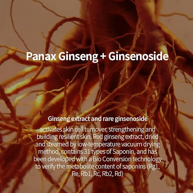 Alchemic Ginsenoside Contour Eye Serum – Targeted Eye Treatment for Dark Circles, Fine Lines & Puffiness, With Ginsenoside & Phytochemicals, Hydrating & Firming, 0.85 fl. oz.