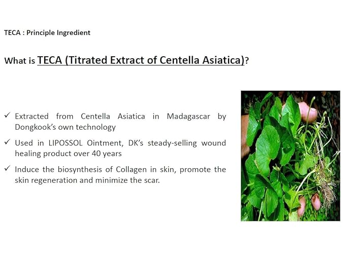 DONGKOOK CENTELLIAN 24 Micro Serum 50ml/1.69fl oz with TECA Tech. K-beauty#