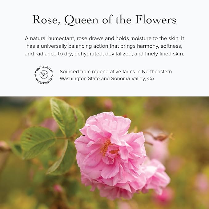 evanhealy Rose Trinity Beauty Elixir | Organic Natural Humectant Rejuvenating & Smoothing Facial Oil | Minimize Fine Lines & Wrinkles