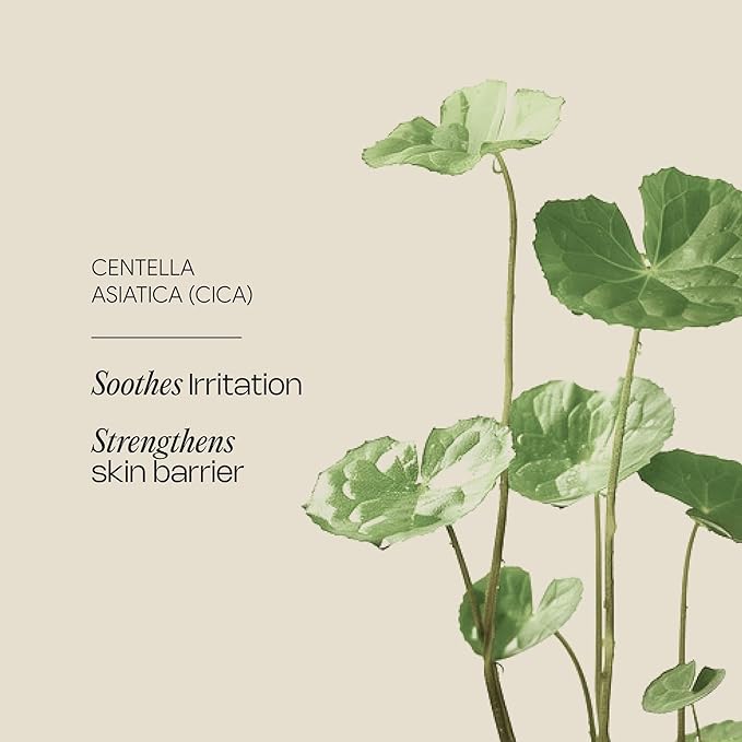 Meebak Eye Cream with Bakuchiol, Caffeine & Cica | Korean Anti-Aging Eye Treatment for Puffy Eye Bags, Dark Circles, Fine Lines & Wrinkles | Energize & Invigorate Eyes