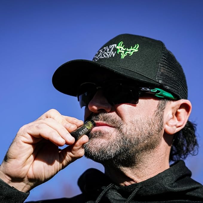 Unscented Lip Balm, 2-pack