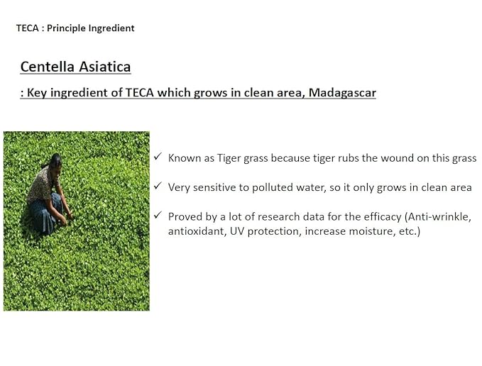 DONGKOOK CENTELLIAN 24 Micro Serum 50ml/1.69fl oz with TECA Tech. K-beauty#