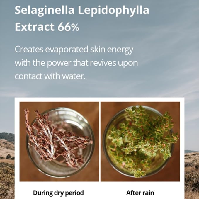 [BONAJOUR] Bio Active Resurrection Plant Powerful Aquaporin Hydration Serum - For Dry Skin, Repair, Moisturizing, Nutrtition, Protection