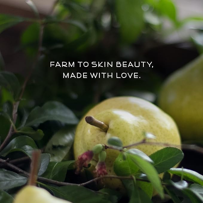 Farmstead Apothecary 100% Natural Lip Balm with Organic Beeswax, Organic Shea Butter & Organic Coconut Oil, Pear & Almond 0.2oz (Pack of 2)