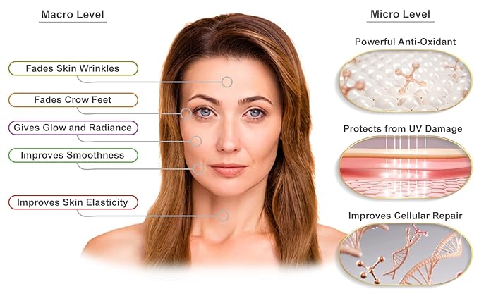 Ageless Defense -Cellular Restorative Astaxanthin Face Serum -by Visage Pure-Astaxanthin and Resveratrol Antiaging Serum. Protects the Skin From Aging-Organic-Physician Formulated-Research Supported