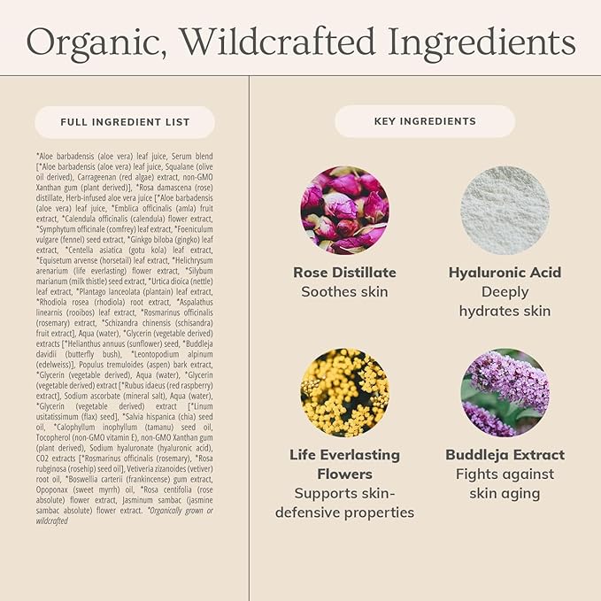 Annmarie Skin Care Anti-Aging Serum - Aloe-Vera Based Serum with Hyaluronic Acid & Herbal Extracts. Hydrating & Firming Serum for Dry Skin, Fine Lines & Wrinkles, For All Skin Types (30ml, 1.0 fl oz)