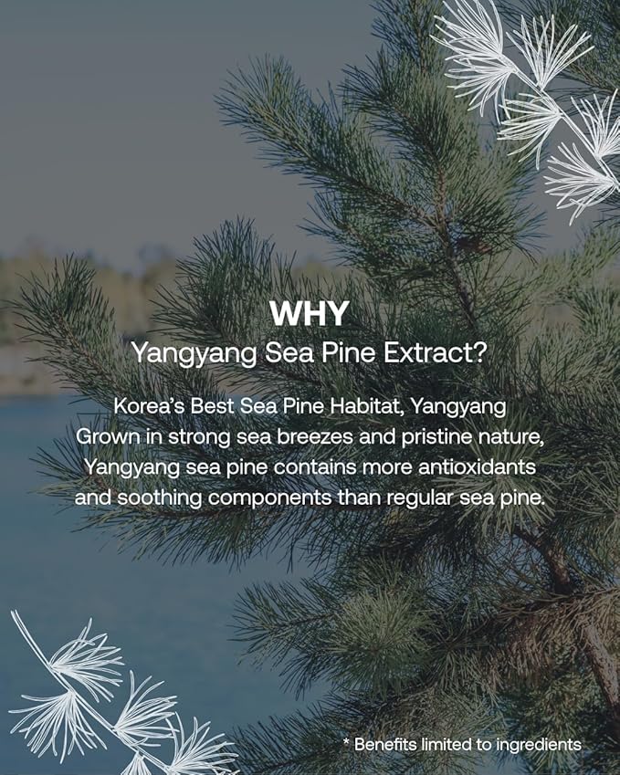 Yangyang Pine Quick Calming Spot Patch (12 Patches) | Hyaluronic Acid Soothing Deep Shot | Blemish Relief | Pimples Care | Ultra-Thin Hydrocolloid Patch | Non-Irritating Acne Treatment