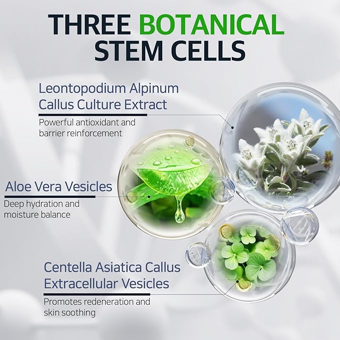 Fabyou Special Retinol Peptide Anti-Aging Korea Skin Care Night Care Set, Powerful Wrinkle Reduction & Skin Elasticity Boost with Retinol, Peptides| Fast Absorbing, Non-Sticky Formula for All Skin