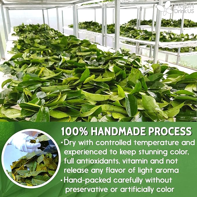 120+ Premium Soursop Graviola Dried Leaves, 120-130 Natural Leaves, Whole Soursop Leaves, Wildcrafted, Graviola, Soursop, Hoja Guanabana, Soursop Loose Leaf Herbal Tea, No Gluten, Vegan