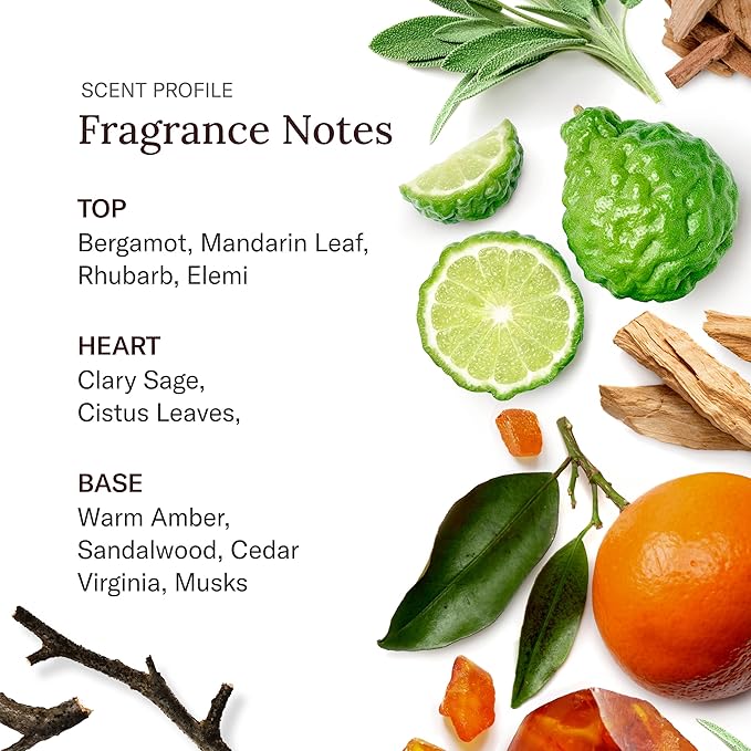 Stetson Spirit - Deep Clean Face & Beard Wash - 3 Pack