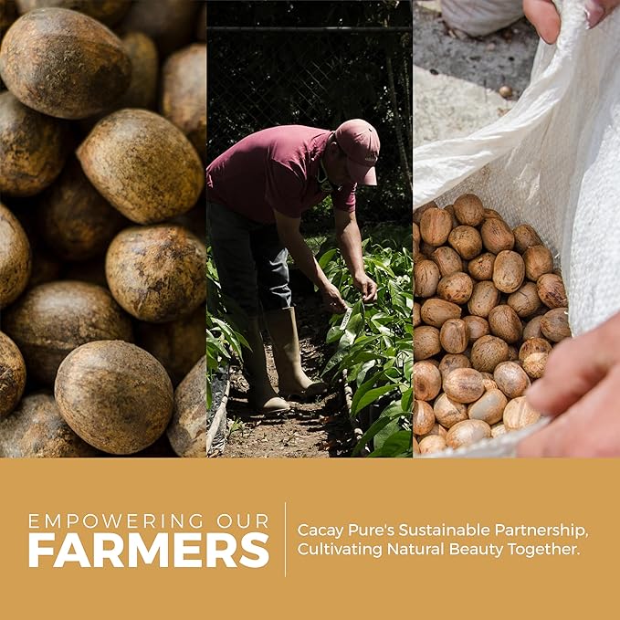 Cacay Oil Roll-On – Natural Anti-Aging Face & Body Oil for Scars with Retinol & Vitamin E, Organic Skincare, Antioxidant-Rich Treatment for Acne Scars, Wrinkles, Fine Lines, and Dry Skin (0.33 Fl Oz)