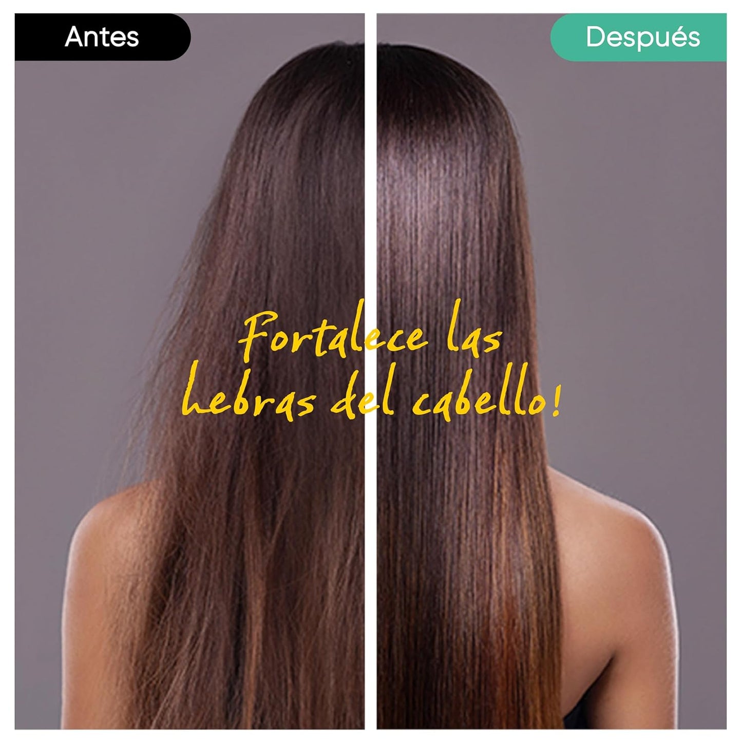 Ginger Shampoo Bar 2.0 - Hydrating & Moisturizing Natural Hair Soap Bar Shampoo for Hair Vitality & Scalp Nourishment - Bathing Soap Solid Shampoo for All Hair Types (120g, 4.23oz)