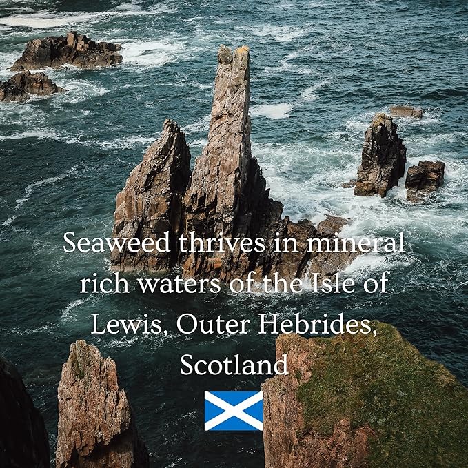 Ishga Marine Cleansing Balm | Natural & Organic Skincare | Scottish Seaweed | Bergamot, Rose Geranium, Shea Butter | Vegan, Cruelty-Free | 3.38fl oz (100ml)